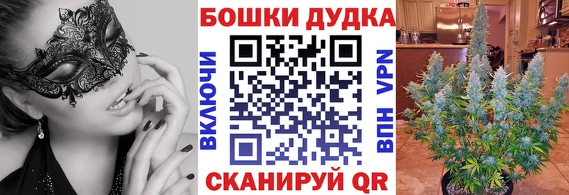 Каннабис ГИДРОПОН  Долгопрудный 